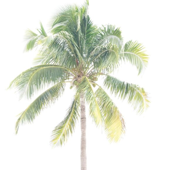 Meet your Posher, Paige - Picture 1 of 1